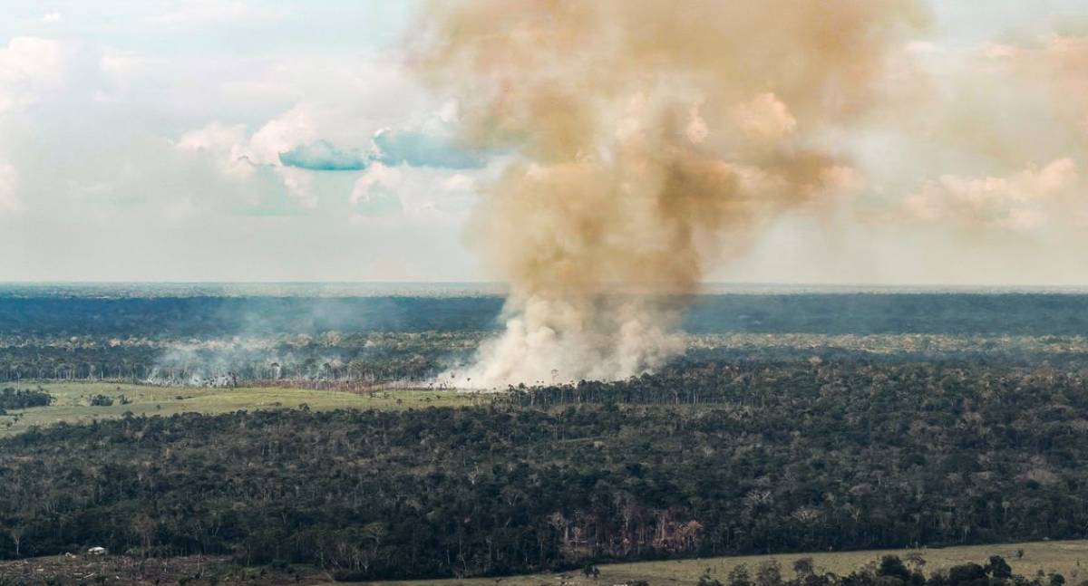 Emissões brasileiras de gases de efeito estufa caem para o menor nível desde 2012, aponta Observatório do Clima