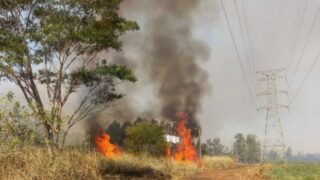 Energisa alerta para riscos das queimadas próximas à rede elétrica e reforça orientações de segurança em Rondônia