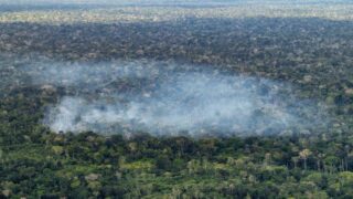 Estudo do Inpe revela que ações humanas são a principal causa das emissões de carbono na Amazônia