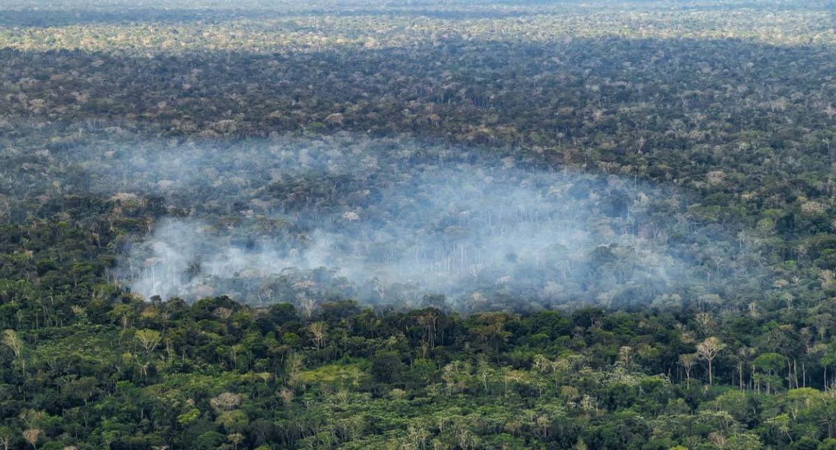 Estudo do Inpe revela que ações humanas são a principal causa das emissões de carbono na Amazônia
