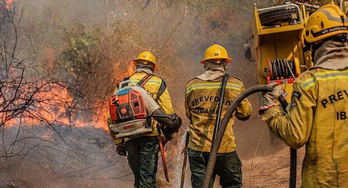 Fiocruz alerta para riscos da fumaça de queimadas à saúde da população e de comunidades indígenas no Amazonas