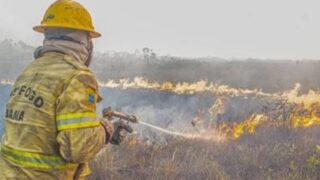 Força-tarefa abre 120 TCOs para apurar incêndios criminosos no Amazonas; Abin investiga ação orquestrada