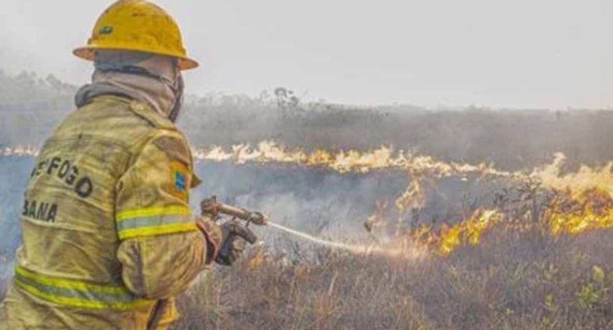 Força-tarefa abre 120 TCOs para apurar incêndios criminosos no Amazonas; Abin investiga ação orquestrada