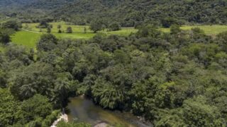 Fragmentação da vegetação nativa no Brasil cresce 45% em 38 anos e ameaça biodiversidade, revela MapBiomas