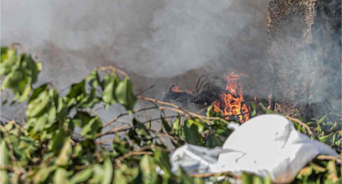 Fumaça em Porto Velho: veja como proteger a saúde