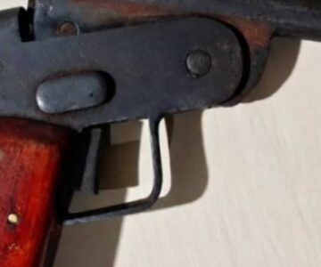 Homem é preso com arma artesanal e serpente morta em bicicleta na BR-429