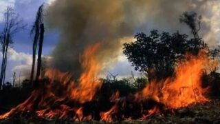 Homem morre ao tentar combater incêndio em pastagem na zona rural de Nova União