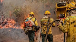 Amazonas recebe aviões para combater queimadas após alta de 271%