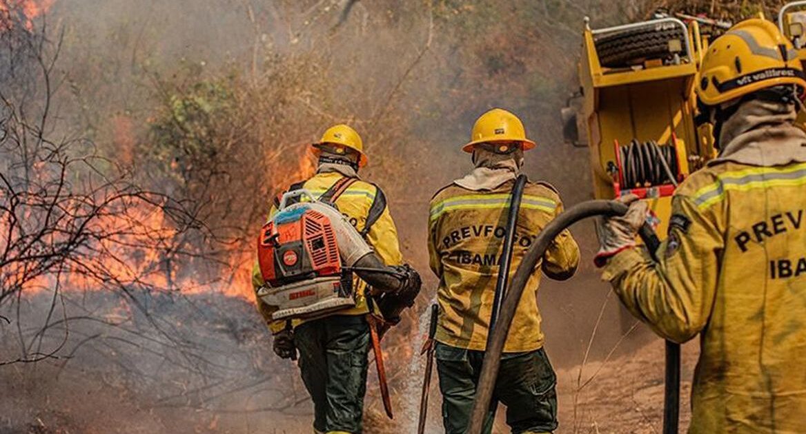 Amazonas recebe aviões para combater queimadas após alta de 271%