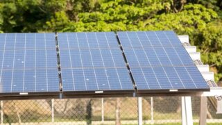 Leilão do Eco Invest Brasil atrai quase 50 bilhões de reais para investimentos verdes