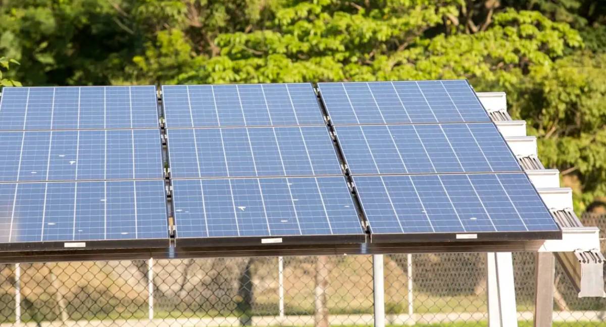 Leilão do Eco Invest Brasil atrai quase 50 bilhões de reais para investimentos verdes