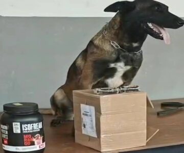 Operação conjunta apreende haxixe escondido em pote de suplemento em transportadora de Porto Velho