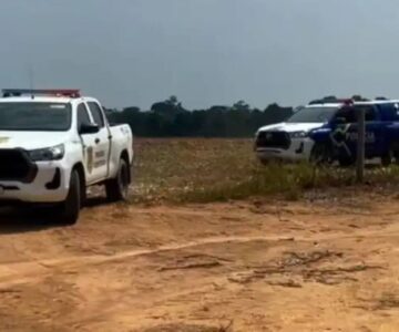Ossada humana é encontrada por coletor de castanhas em área de mata em RO