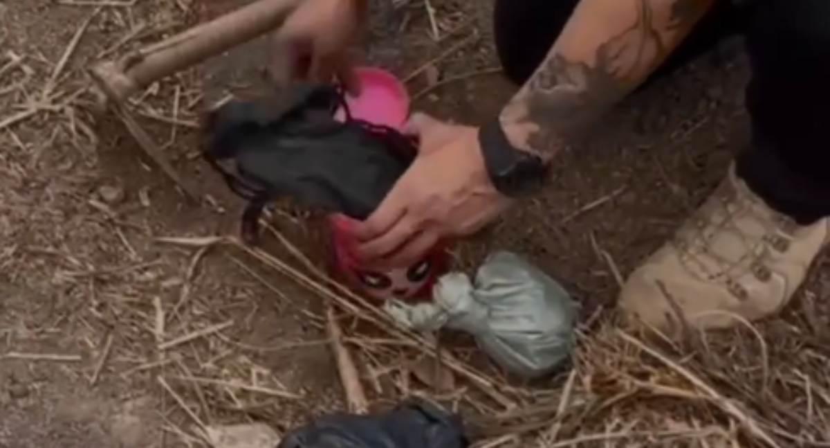 Polícia Civil prende suspeito em flagrante e apreende adolescente por tráfico de drogas em RO