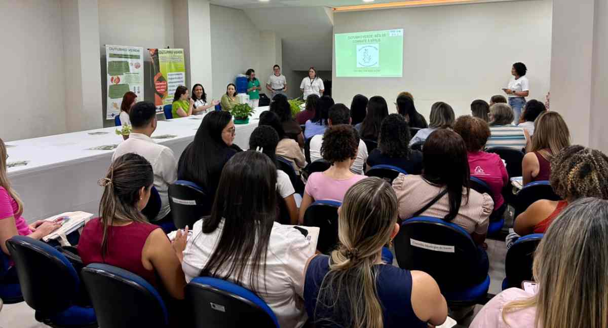 Porto Velho capacita profissionais para combater a sífilis