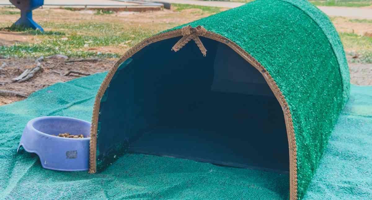 Prefeitura instala abrigos para gatos em parques de Porto Velho