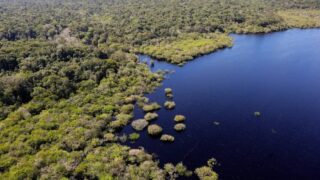 Queda no desmatamento na Amazônia e no Cerrado pode ter gerado ganho de R$ 1,16 trilhão para a economia global