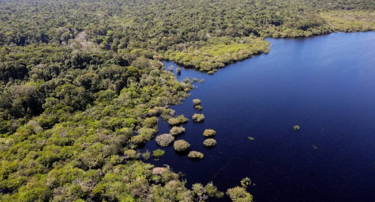 Queda no desmatamento na Amazônia e no Cerrado pode ter gerado ganho de R$ 1,16 trilhão para a economia global
