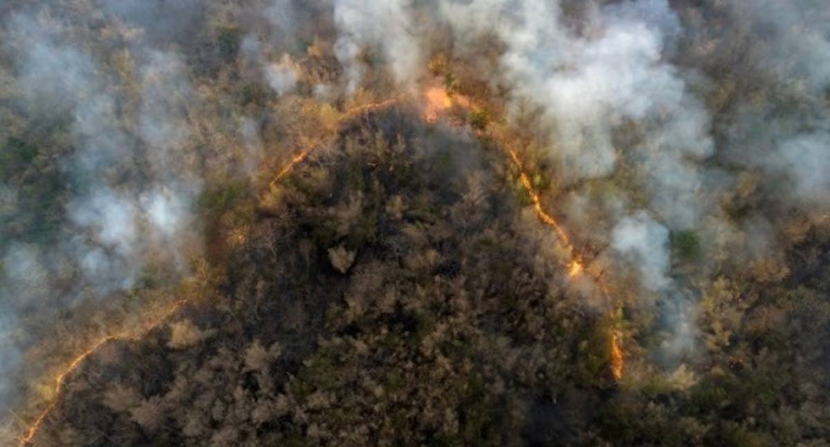 Queimadas na Amazônia acendem alerta para a saúde respiratória da população