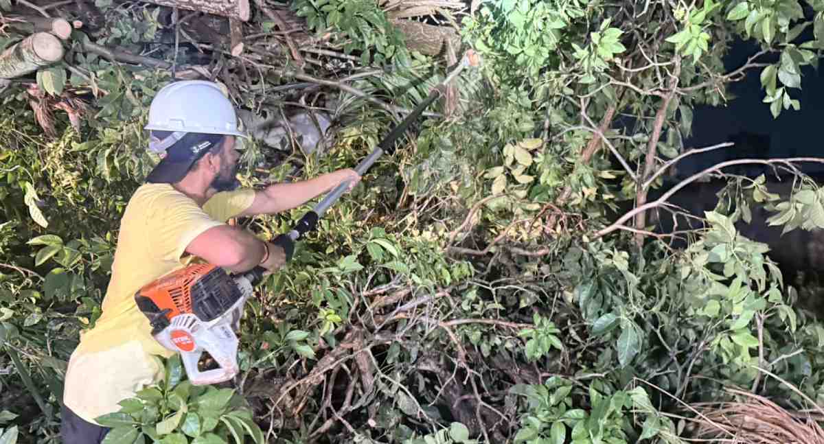 Temporal derruba árvores e mobiliza equipes em Porto Velho