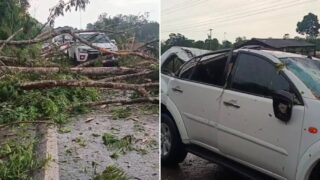 Temporal e rajadas de vento derrubam árvores e atingem veículos na BR-364