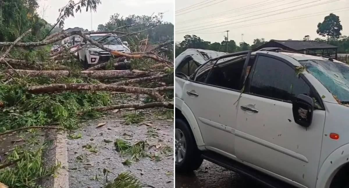 Temporal e rajadas de vento derrubam árvores e atingem veículos na BR-364
